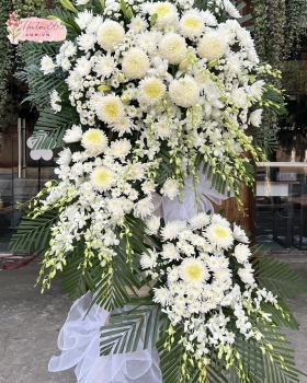 HOA CHIA BUỒN HV06