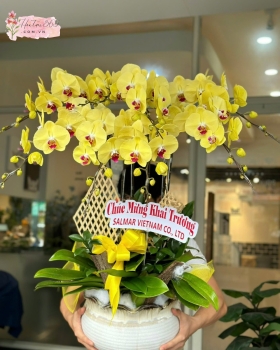 LAN HỒ ĐIỆP LHD09