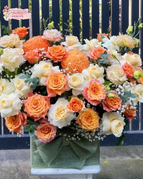 GIỎ HOA CHÚC MỪNG HG01