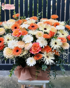 GIỎ HOA CHÚC MỪNG