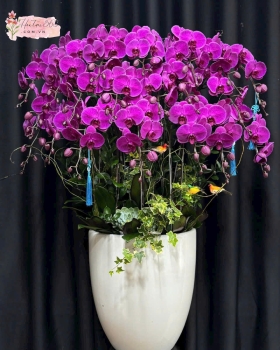 LAN HỒ ĐIỆP LHD16