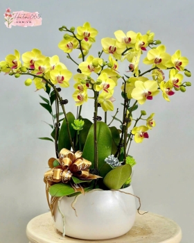 LAN HỒ ĐIỆP LHD12