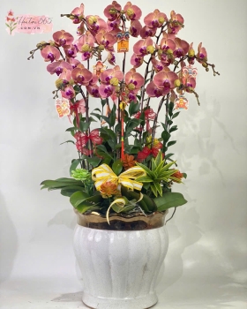 LAN HỒ ĐIÊP LHD06