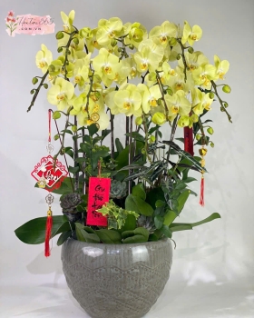 LAN HỒ ĐIỆP LHD19