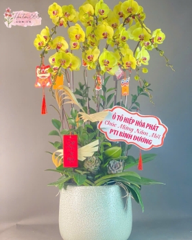 LAN HỒ ĐIỆP LHD39