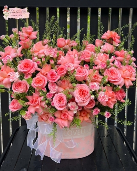 SẮC MÀU TÌNH YÊU HG19