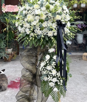 HOA CHIA BUỒN HV08