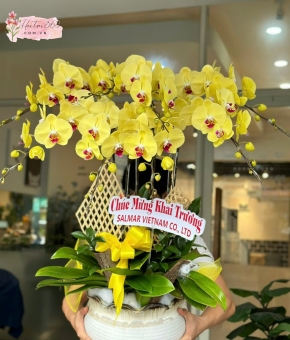 LAN HỒ ĐIỆP LHD09