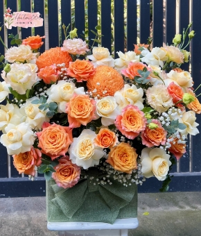 GIỎ HOA CHÚC MỪNG HG01