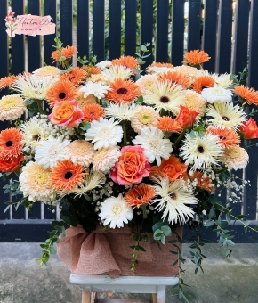 GIỎ HOA CHÚC MỪNG