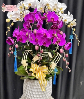 LAN HỒ ĐIỆP LHD08