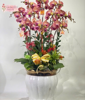 LAN HỒ ĐIÊP LHD06