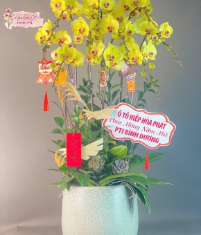 LAN HỒ ĐIỆP LHD39