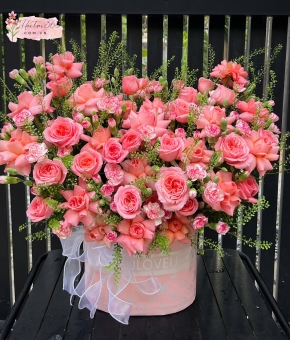 SẮC MÀU TÌNH YÊU HG19