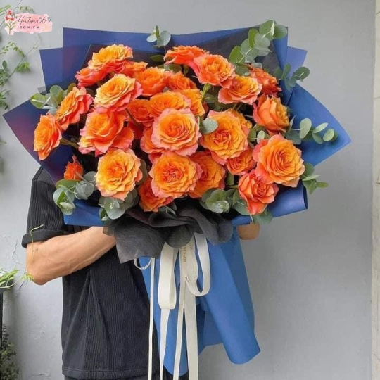 HOA HỒNG CAM