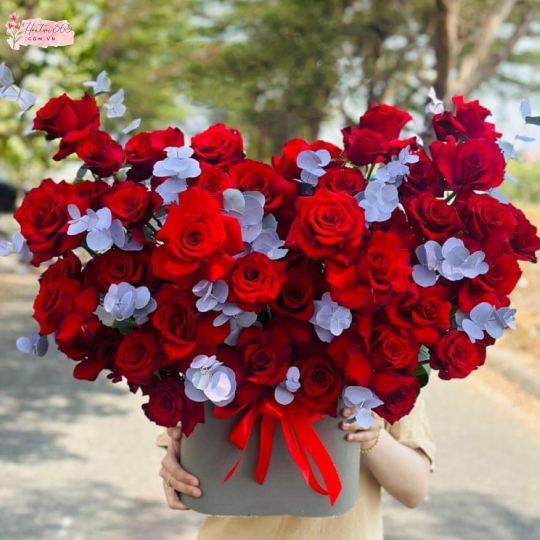 HƯNG THỊNH GH06