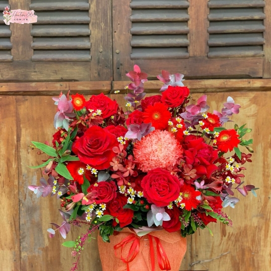 CÁT TƯỜNG HKT04
