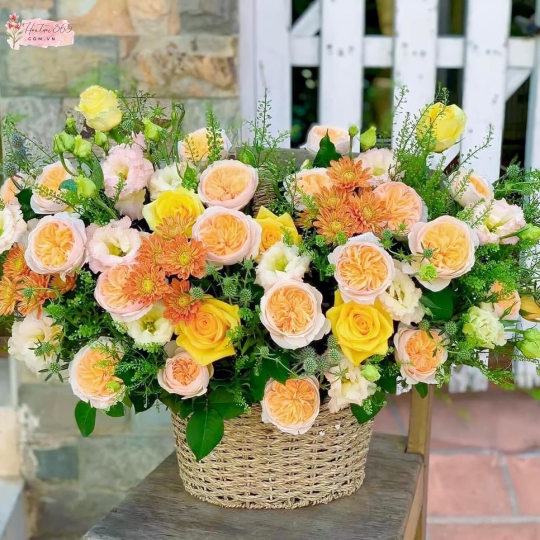 TÀI LỘC GH04