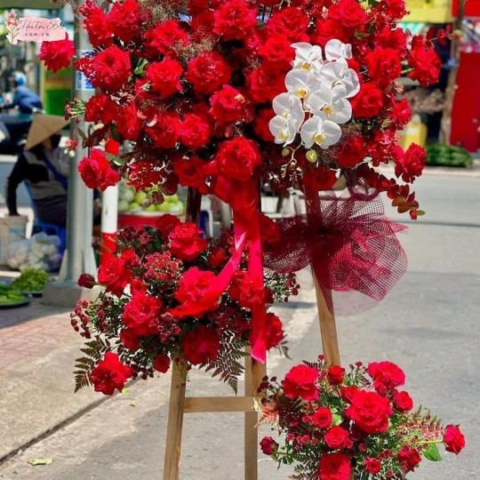 CÁT TƯỜNG HKT01