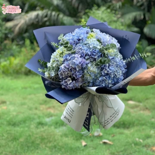 HOA TÚ CẦU