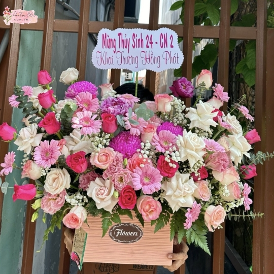 THÀNH ĐẠT HSN01
