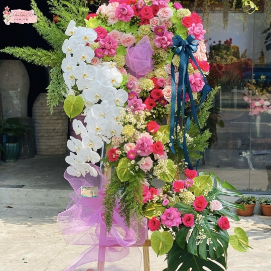 CÁT TƯỜNG HKT06
