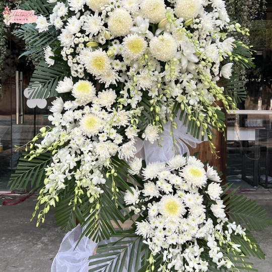 HOA CHIA BUỒN HV06