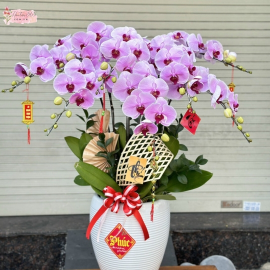 PHÚC LỘC LHD02