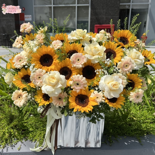 ĐẠI LỘC HG02
