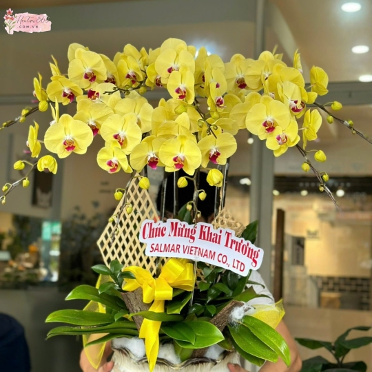 LAN HỒ ĐIỆP LHD09