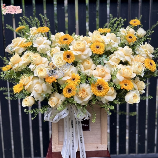 MAY MẮN GH03