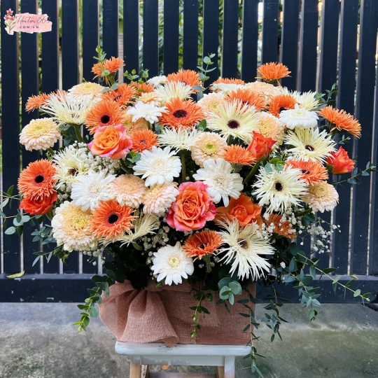 GIỎ HOA CHÚC MỪNG