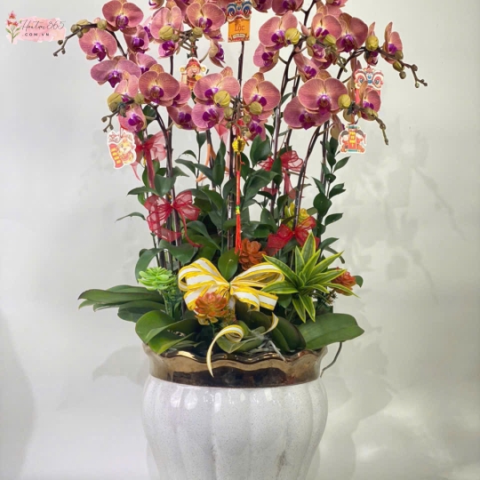 LAN HỒ ĐIÊP LHD06