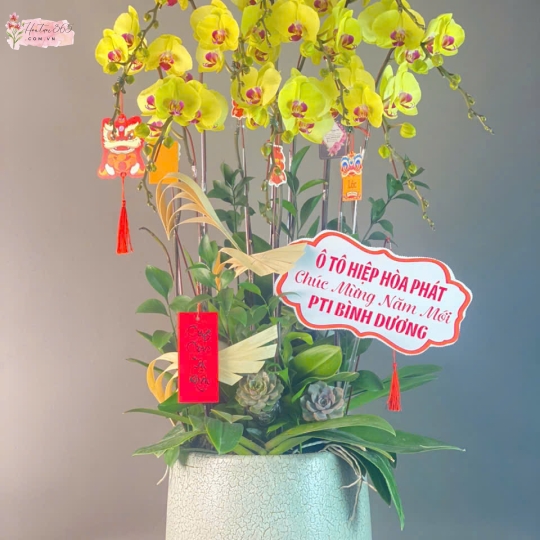 LAN HỒ ĐIỆP LHD39