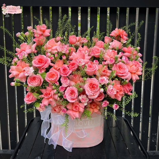 SẮC MÀU TÌNH YÊU HG19